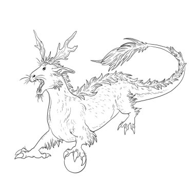 Bir ejderhanın siyah-beyaz renkli mürekkep çizimi.