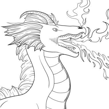 Bir ejderhanın siyah-beyaz renkli mürekkep çizimi.