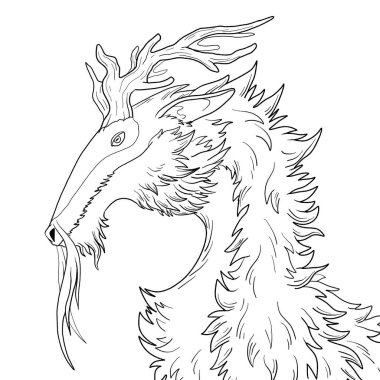 Bir ejderhanın siyah-beyaz renkli mürekkep çizimi.