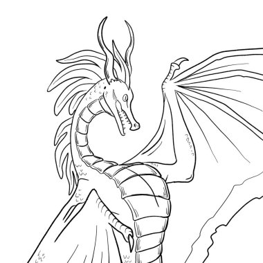 Bir ejderhanın siyah-beyaz renkli mürekkep çizimi.