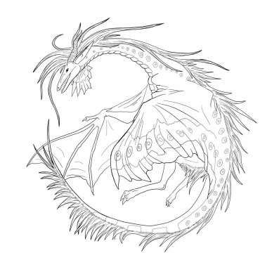 Bir ejderhanın siyah-beyaz renkli mürekkep çizimi.