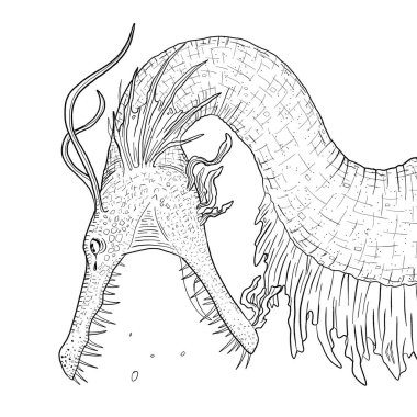 Bir ejderhanın siyah-beyaz renkli mürekkep çizimi.