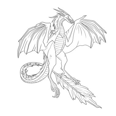 Bir ejderhanın siyah-beyaz renkli mürekkep çizimi.