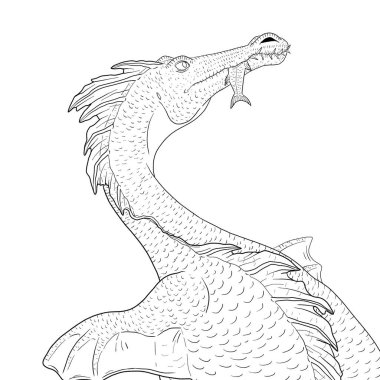 Bir ejderhanın siyah-beyaz renkli mürekkep çizimi.