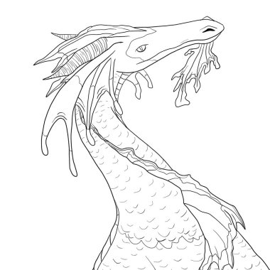 Bir ejderhanın siyah-beyaz renkli mürekkep çizimi.