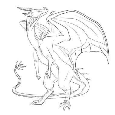 Bir ejderhanın siyah-beyaz renkli mürekkep çizimi.