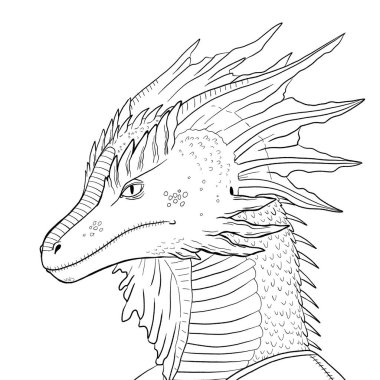 Bir ejderhanın siyah-beyaz renkli mürekkep çizimi.