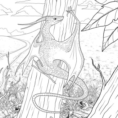 Bir ejderhanın siyah-beyaz renkli mürekkep çizimi.