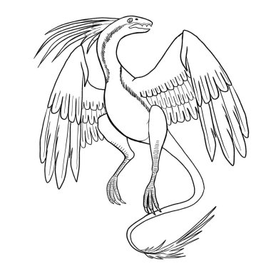 Bir ejderhanın siyah-beyaz renkli mürekkep çizimi.