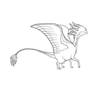 Bir ejderhanın siyah-beyaz renkli mürekkep çizimi.