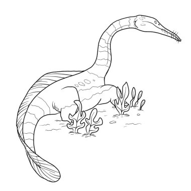 Bir ejderhanın siyah-beyaz renkli mürekkep çizimi.