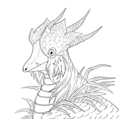 Bir ejderhanın siyah-beyaz renkli mürekkep çizimi.