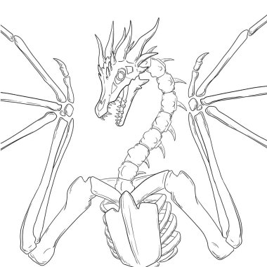 Bir ejderhanın siyah-beyaz renkli mürekkep çizimi.