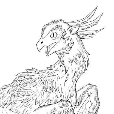 Bir ejderhanın siyah-beyaz renkli mürekkep çizimi.