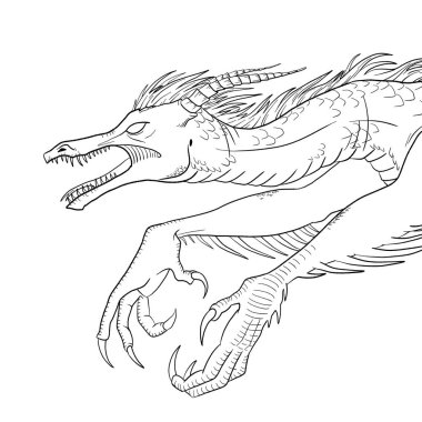 Bir ejderhanın siyah-beyaz renkli mürekkep çizimi.