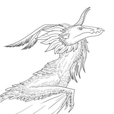 Bir ejderhanın siyah-beyaz renkli mürekkep çizimi.