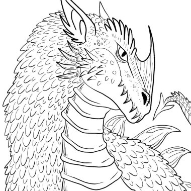 Bir ejderhanın siyah-beyaz renkli mürekkep çizimi.
