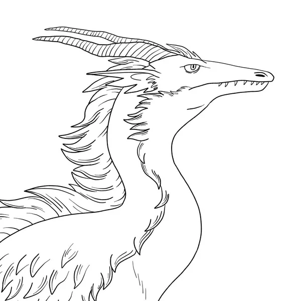 Black White Coloring Page Ink Illustration Dragon — Stock Photo, Image