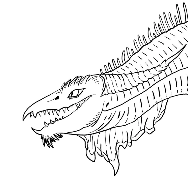 Black White Coloring Page Ink Illustration Dragon — Stock Photo, Image