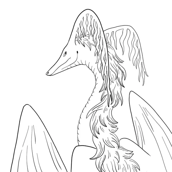 Bir ejderhanın siyah-beyaz renkli mürekkep çizimi.