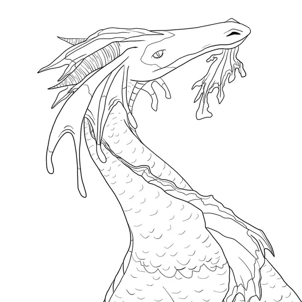 Bir ejderhanın siyah-beyaz renkli mürekkep çizimi.