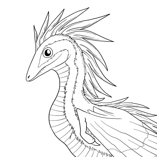 Black White Coloring Page Ink Illustration Dragon — Stock Photo, Image