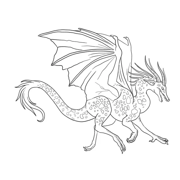 Coloriage Noir Blanc Illustration Encre Dragon — Photo