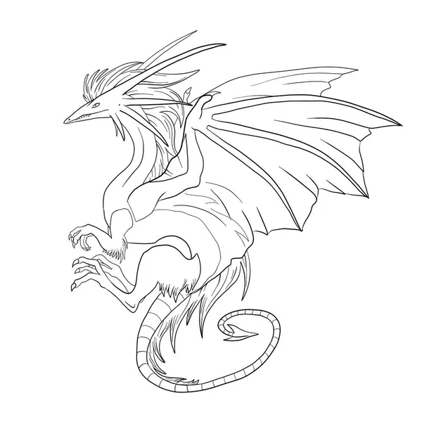 Bir ejderhanın siyah-beyaz renkli mürekkep çizimi.