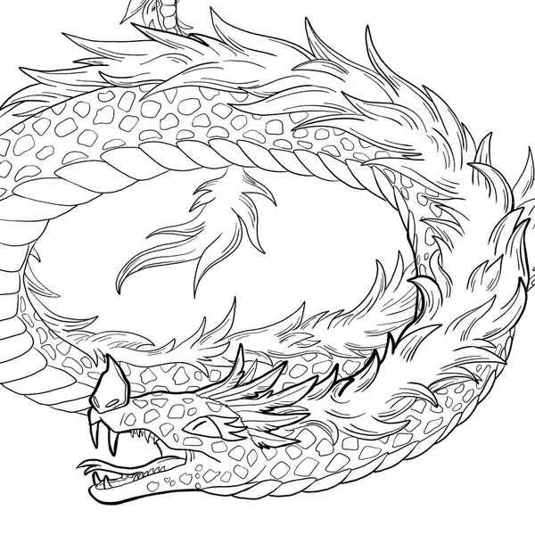 Bir ejderhanın siyah-beyaz renkli mürekkep çizimi.