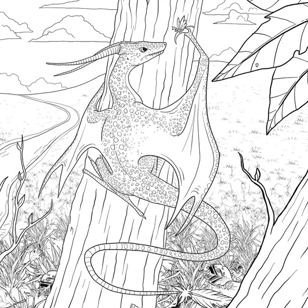 Bir ejderhanın siyah-beyaz renkli mürekkep çizimi.