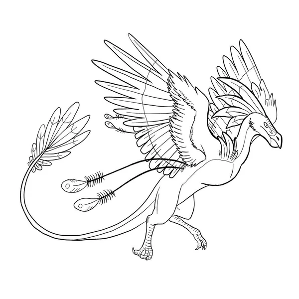 Black White Coloring Page Ink Illustration Dragon — Stock Photo, Image