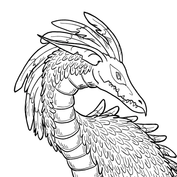 Dibujos Para Colorear Blanco Negro Ilustración Tinta Dragón — Foto de Stock