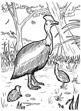Siyah-beyaz sayfa mürekkep çizimi Cassowary 'nin.