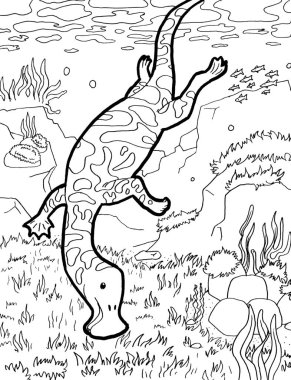 Tarih öncesi bir yaratığın siyah beyaz renkli sayfası.