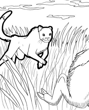 Tarih öncesi bir yaratığın siyah beyaz renkli sayfası.