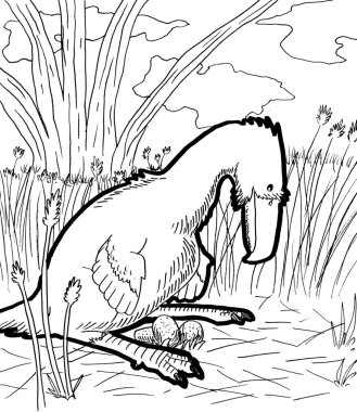 Tarih öncesi bir yaratığın siyah beyaz renkli sayfası.