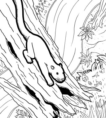 Tarih öncesi bir yaratığın siyah beyaz renkli sayfası.