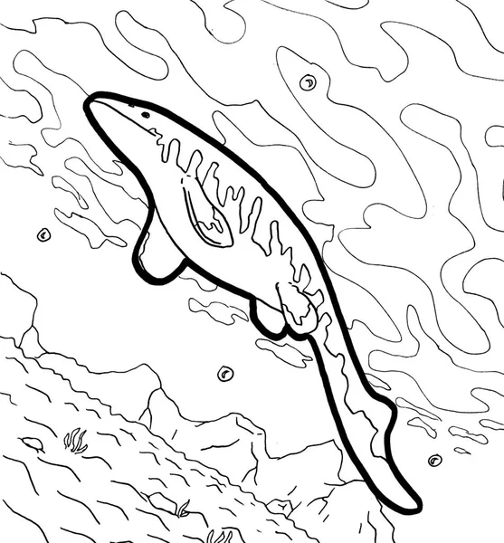 Tarih öncesi bir yaratığın siyah beyaz renkli sayfası.