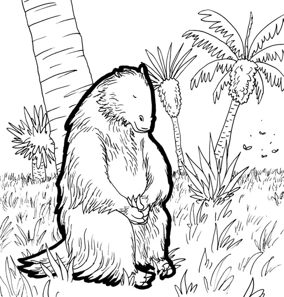 Tarih öncesi bir yaratığın siyah beyaz renkli sayfası.