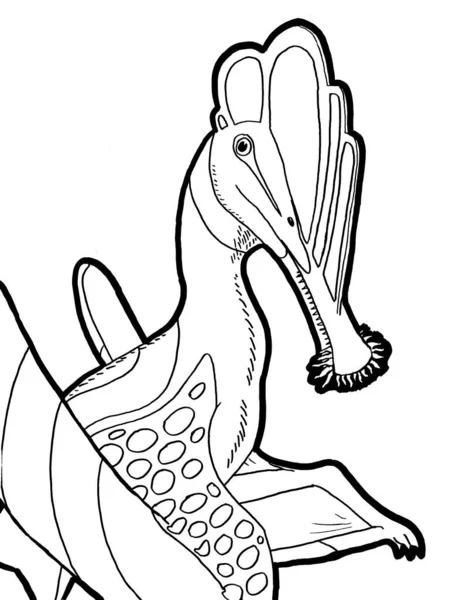 Black White Coloring Page Prehistoric Creature — Stock Photo, Image