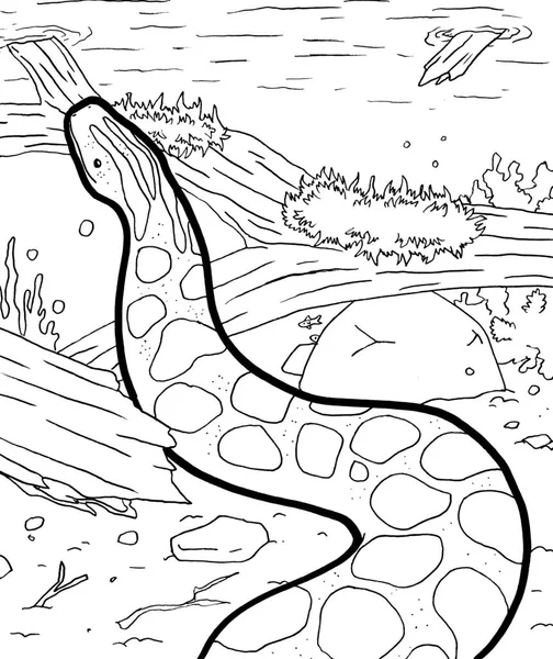 Tarih öncesi bir yaratığın siyah beyaz renkli sayfası.