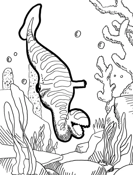 Tarih öncesi bir yaratığın siyah beyaz renkli sayfası.