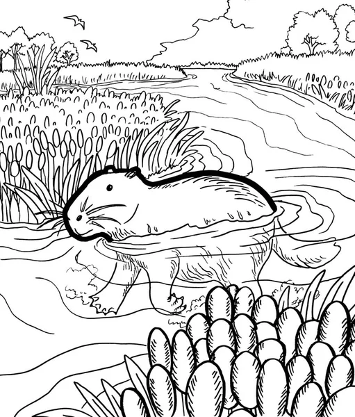 Tarih öncesi bir yaratığın siyah beyaz renkli sayfası.