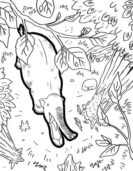 Tarih öncesi bir yaratığın siyah beyaz renkli sayfası.