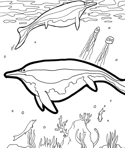 Tarih öncesi bir yaratığın siyah beyaz renkli sayfası.