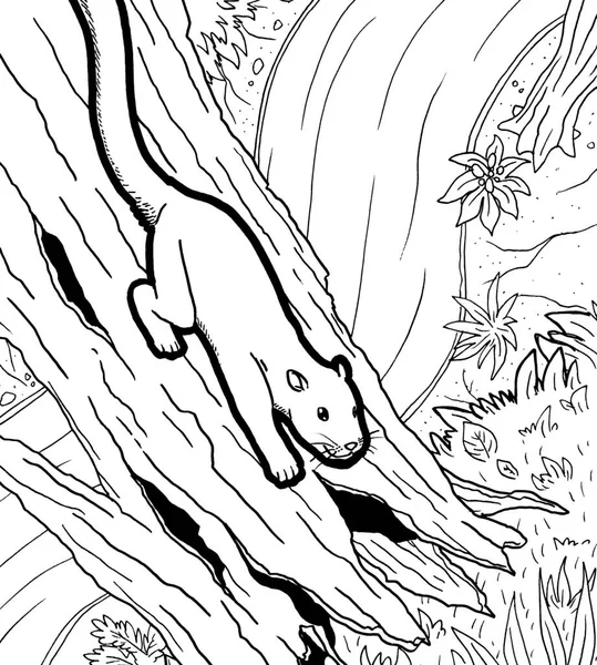 Tarih öncesi bir yaratığın siyah beyaz renkli sayfası.