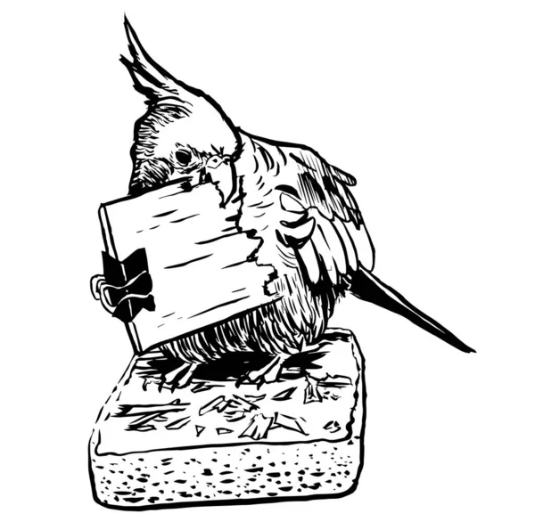 Black White Ink Illustration Cockatiel Parrot — Stock Photo, Image