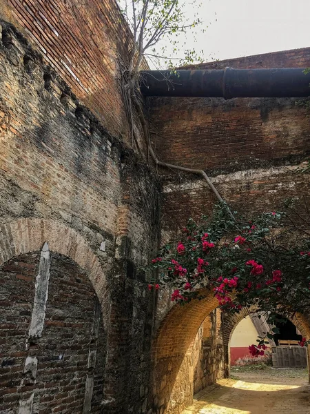 Old Abandoned Building Nature Grows Back Stone Brick Building Arch — Stok fotoğraf