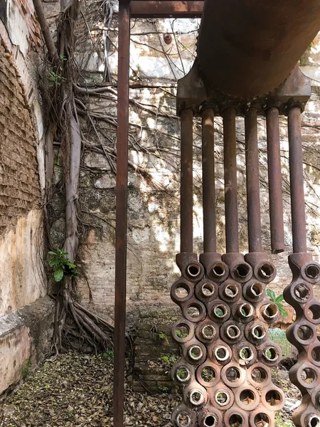 Old Abandoned Building Nature Grows Back Stone Brick Building Arch — Foto Stock