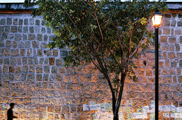 stone wall with street lighting, movement of the silhouette of a person passing by, with a tree in front of the wall